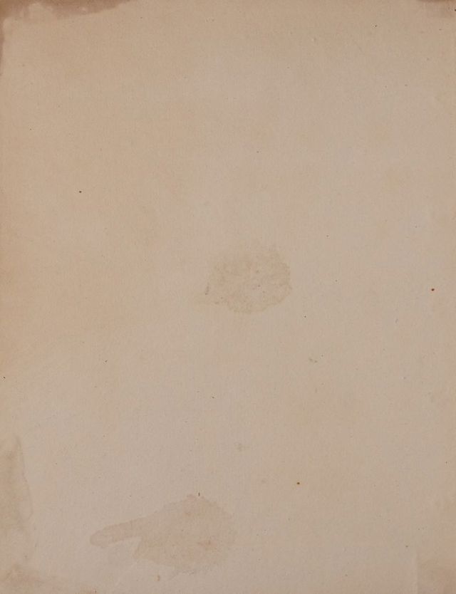 digitised image 2
