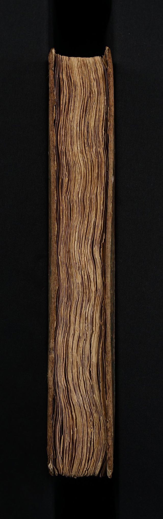 digitised image 3