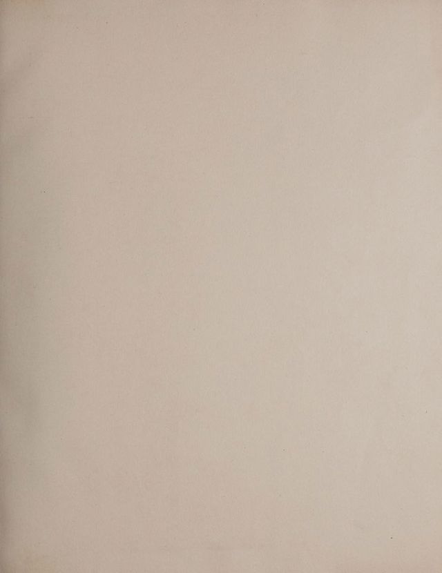digitised image 3