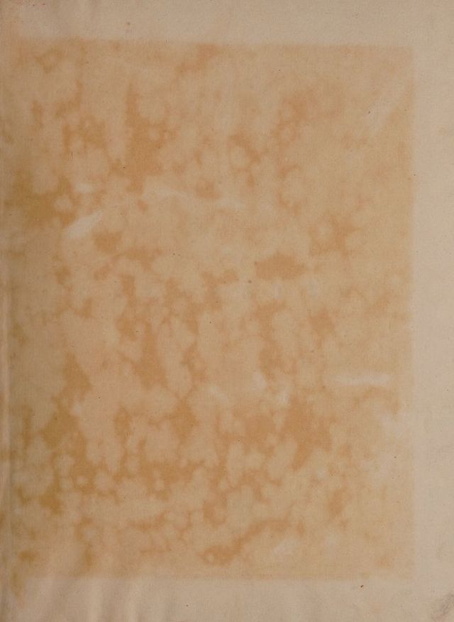 digitised image 3