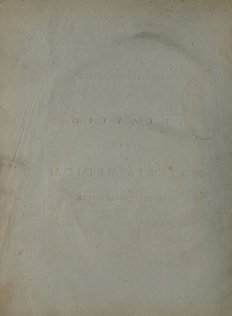 Nae ose ls Pg Ye ate nm ae fed syst