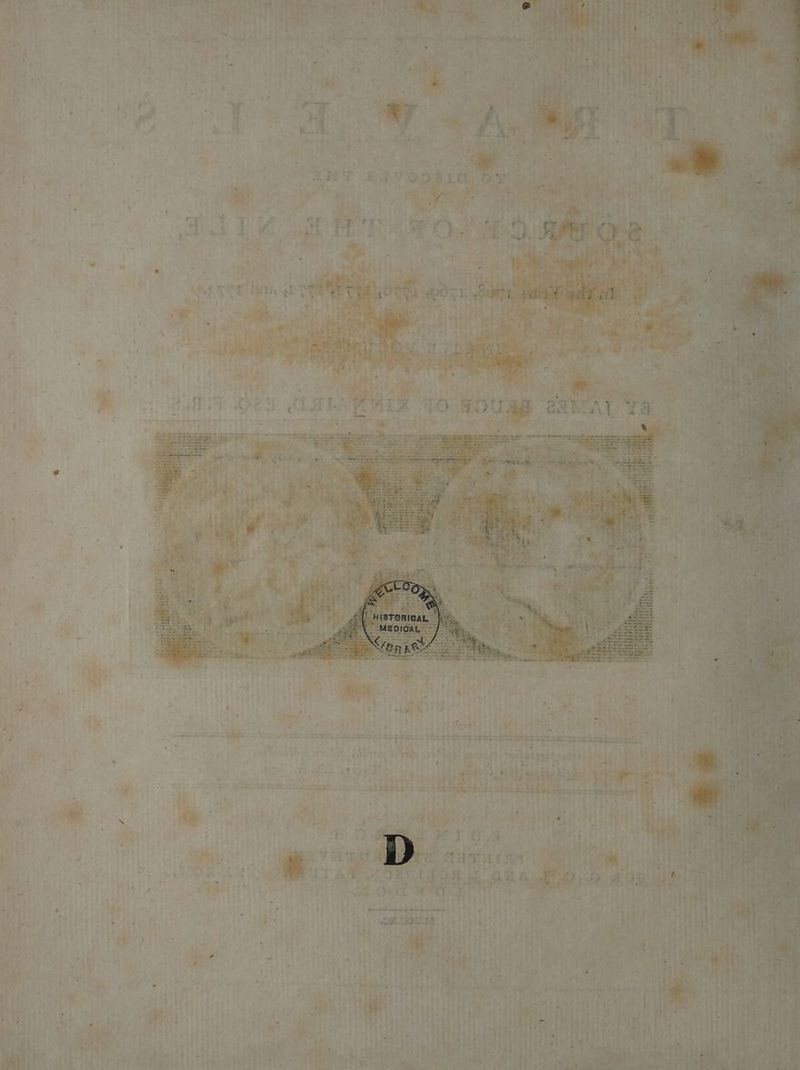 4 . wr re rr ea ; . “a4 A q 7 > ne 42 Pe : hy 7 * i ¥ pgs SP ary 1 9 I _ i as : ‘ i ; ‘ 4 ‘ Sa i “if ‘ 4 7 ‘ ' ‘ Yu ‘ , < 4 ts ‘ i > ; 3 A oer ‘  im y*-+- § “ia * Li} e , ; bis ' Bs . peer ' : ¥ ; ‘ 7 aS I Vy “4 oé * be — Y j ERs S445 Pace” sph? Rie Say 4 vt rt ‘ 4 + tbl M tas : me) ts a7 : e0 be * ; er, ay :  yt pce ei . 3 Be (ee ead al ‘i eo cee pias maa rece! tort oes Py ey : mA ‘ , , Ni Shedd Wile bit % Sap yi’ - B ae . * at ta Tere, 3 | : 4 be s  ni re}, ‘ ms i yg > 7*: i : 4 “a. Pheer { ‘ ea aFt salva At Sohbet se)