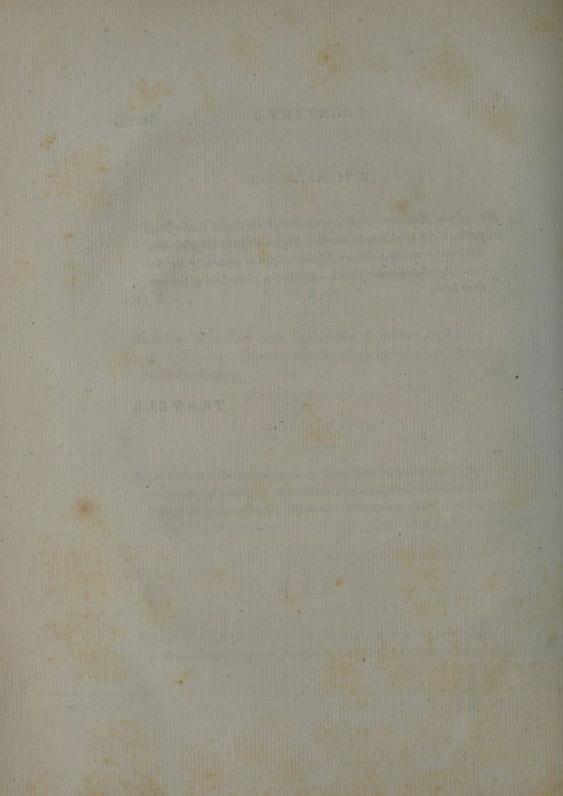 thes ie cinta tite en es Fa - eee) Vahy N : i, a. ; rr rs oi Ve Me