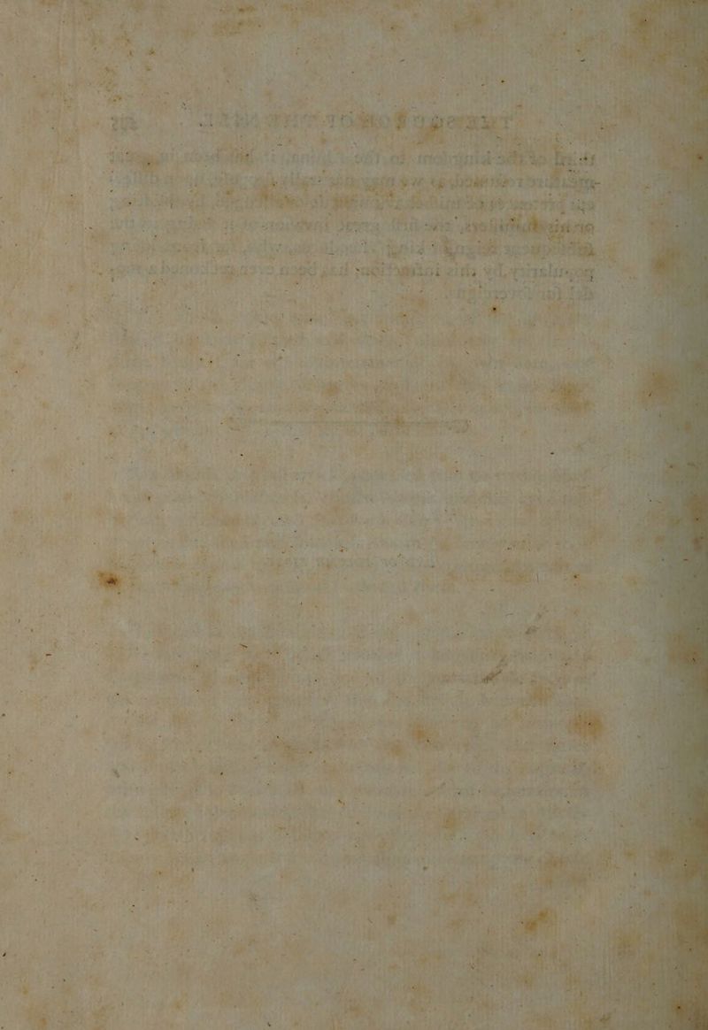 fees Se Pigatcic isha.