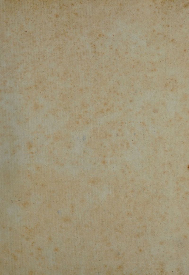 oe A on. = Re ee ae ‘ srt ae ad od “ 7 ie Mee 3