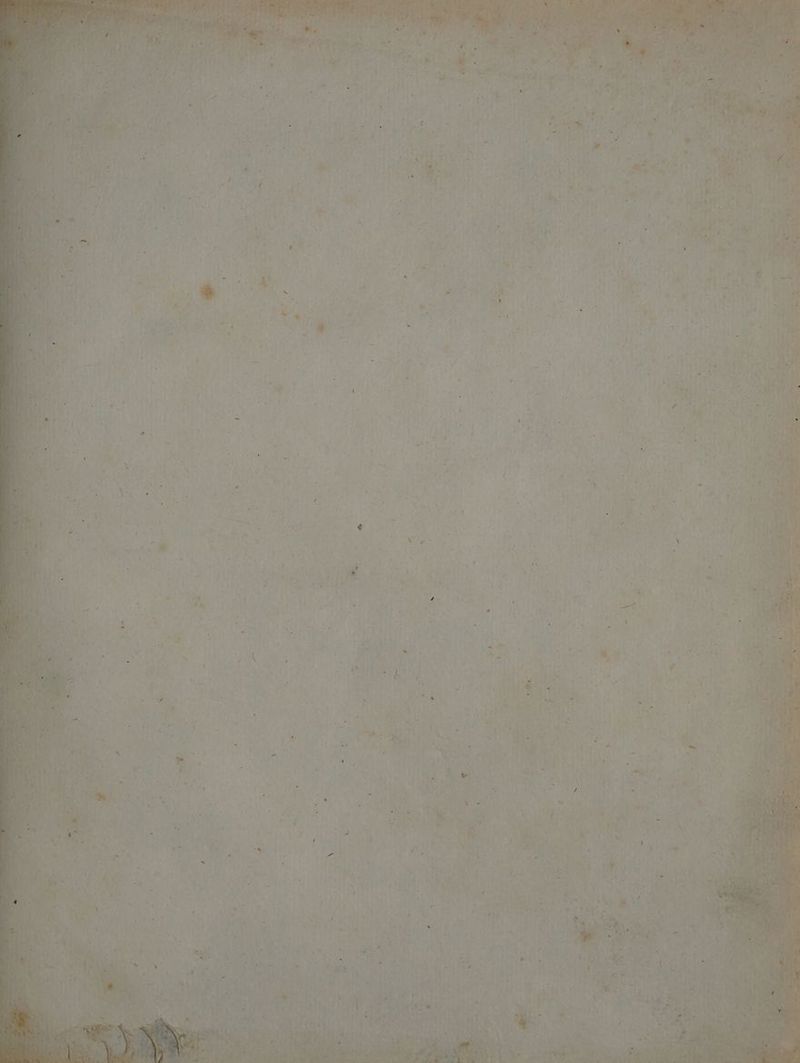 eh a ae . > Lang) one pane oo 9