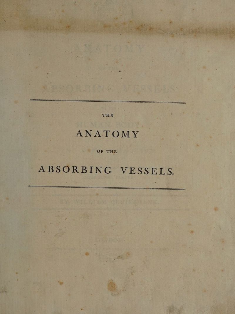 ; ae ea / ® OF THE , 3 3 - ABSORBING VESSELS. . d
