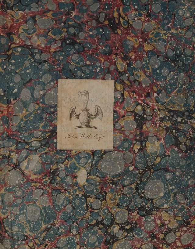 digitised image 2