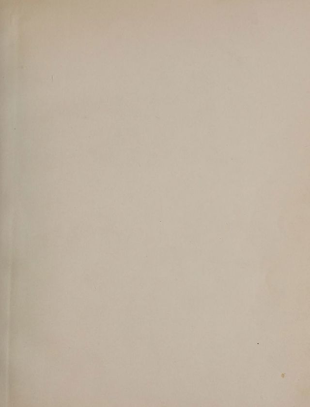 digitised image 3