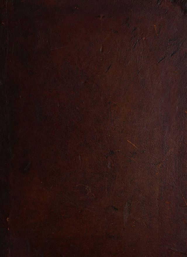 digitised image 1