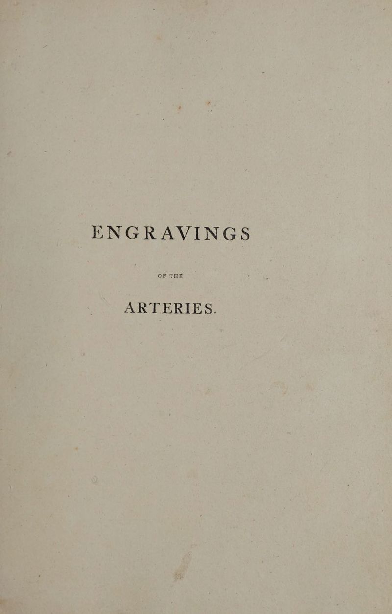 ENGRAVINGS ARTERIES.