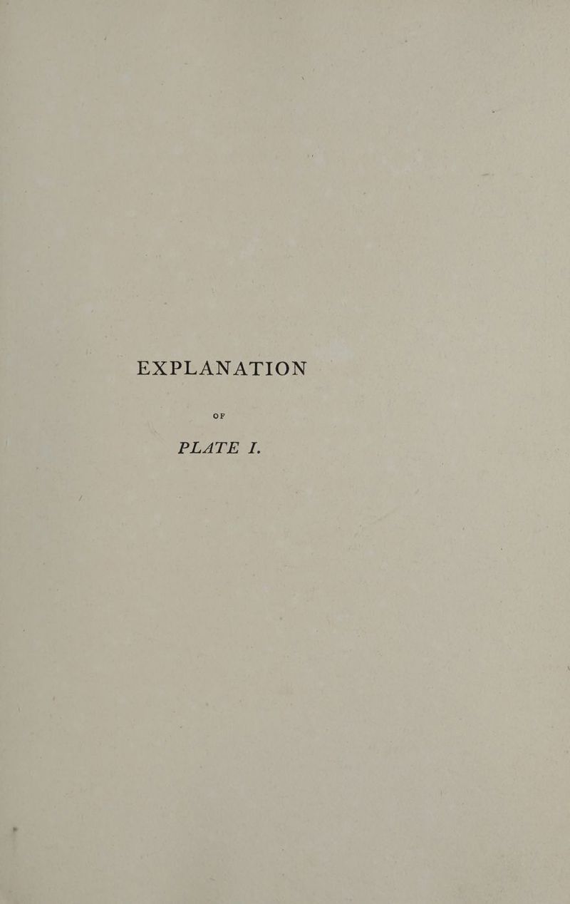 EXPLANATION OF PLATE I,