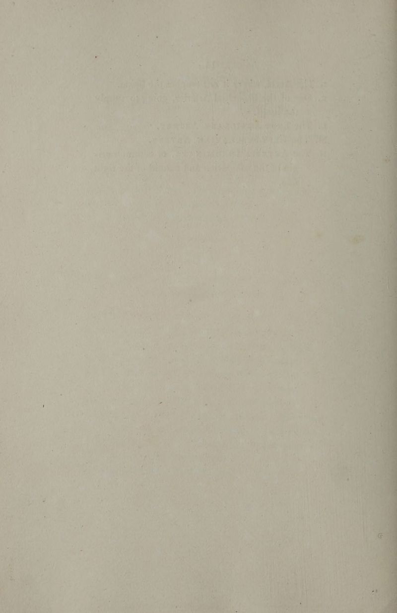 i ert ‘ “7 j e 1 eat a) ( . Cb a i rates.’ an 4 ee | we ten nd  ; ” ia i h wa y's Ve he P, nak ei La ie ve