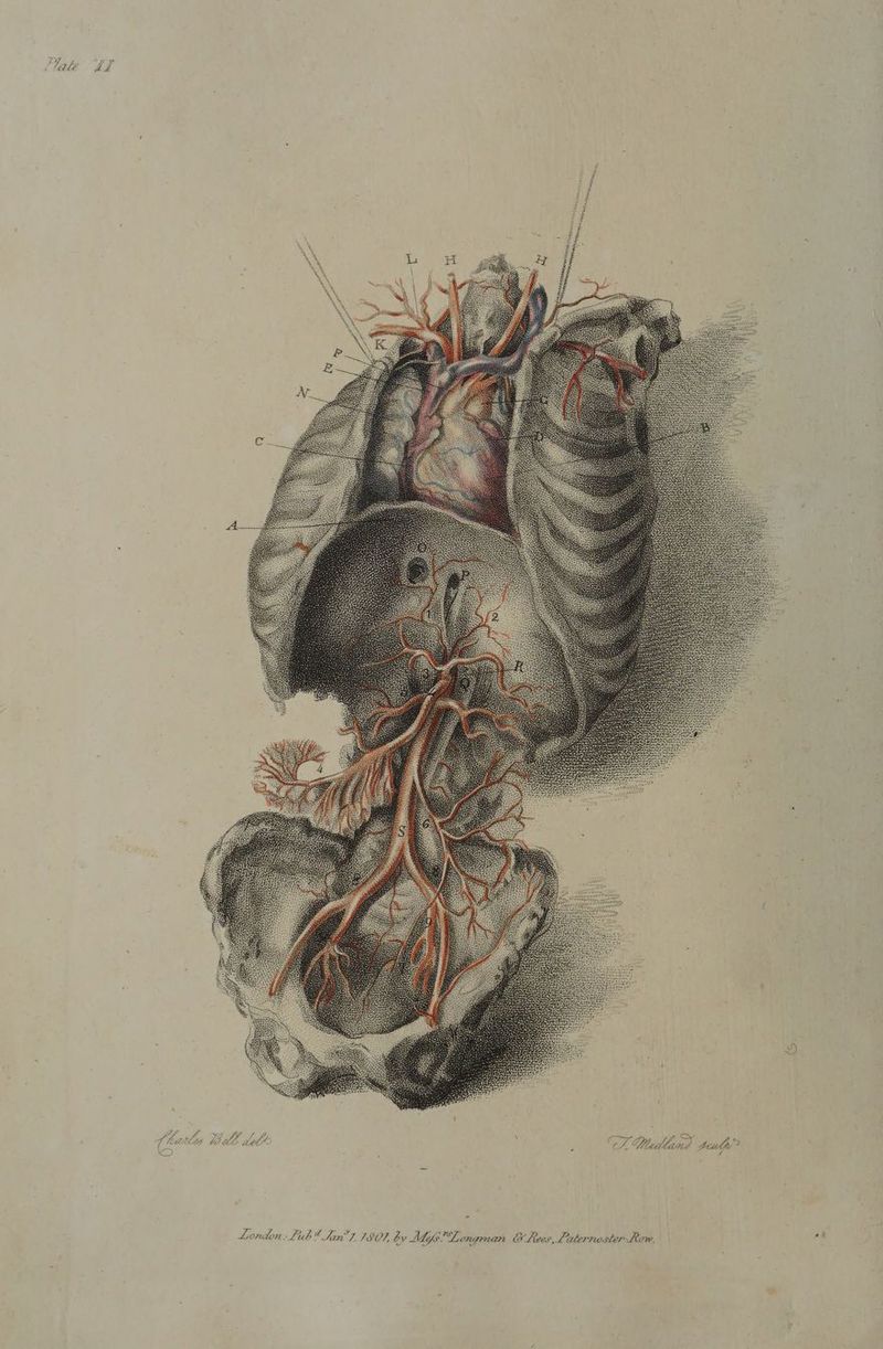 Be CT ay, VLE: London. Lub Jan], 1907, bv Adhys”Longman Oo Lees, Laternoster Low. 4, a a j CAEP Ail be :