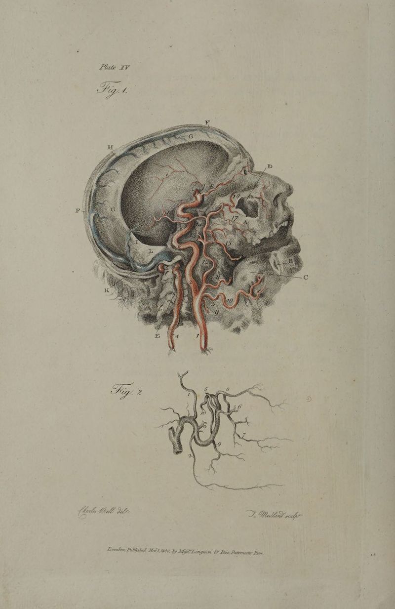 ering Ns. ai! London. Published Nev 7, 7800, by Ady, “Longman &amp; Lees, Paternoster Row,