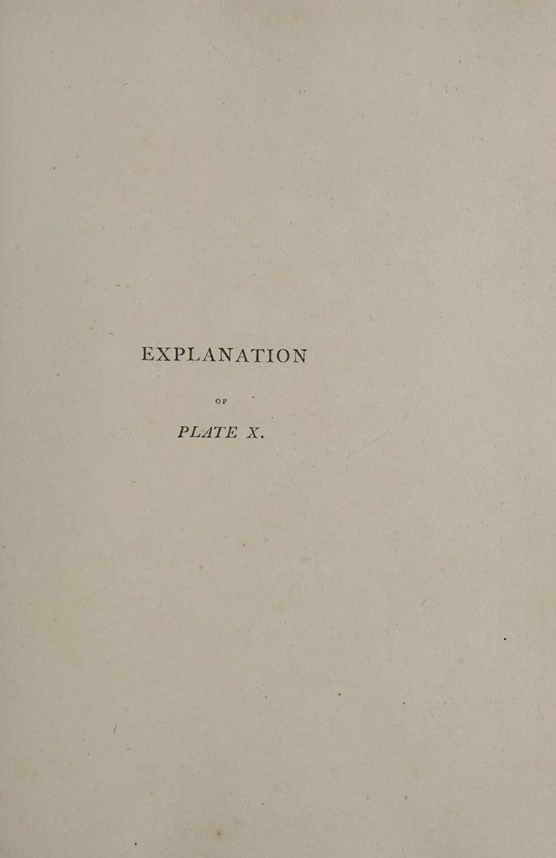 EXPLANATION OF PLATE xX.