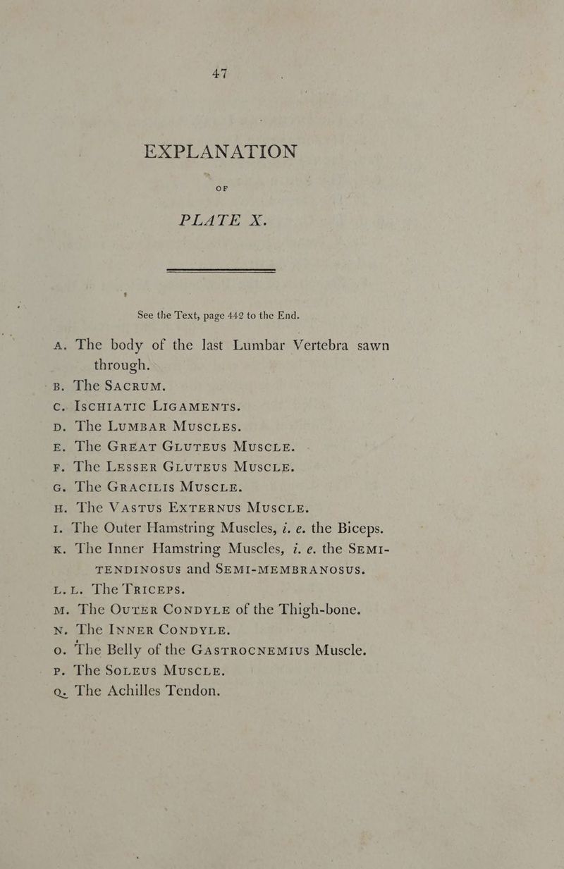 EXPLANATION OF PLATE X. See the Text, page 442 to the End. A. The body of the last Lumbar Vertebra sawn through. B. The SAcRuUM. c. IscHIATIC LIGAMENTS. D. The LumMBar MuSCLEs. E. The Great GLuTEus MUSCLE. F. The Lesser GLuTEUS MUSCLE. G. The Graciztis MUSCLE. H. The Vastus ExTERNUs MUSCLE. 1. The Outer Hamstring Muscles, i. e. the Biceps. Kx. The Inner Hamstring Muscles, 7. e. the SEMI- TENDINOSUs and SEMI-MEMBRANOSUS. L.L. The TRICEPS. M. The OureR ConpDyte of the Thigh-bone. N. The INNER CONDYLE. o. The Belly of the Gasrrocnemius Muscle. p. The SoLteus MUSCLE. qa. The Achilles Tendon.