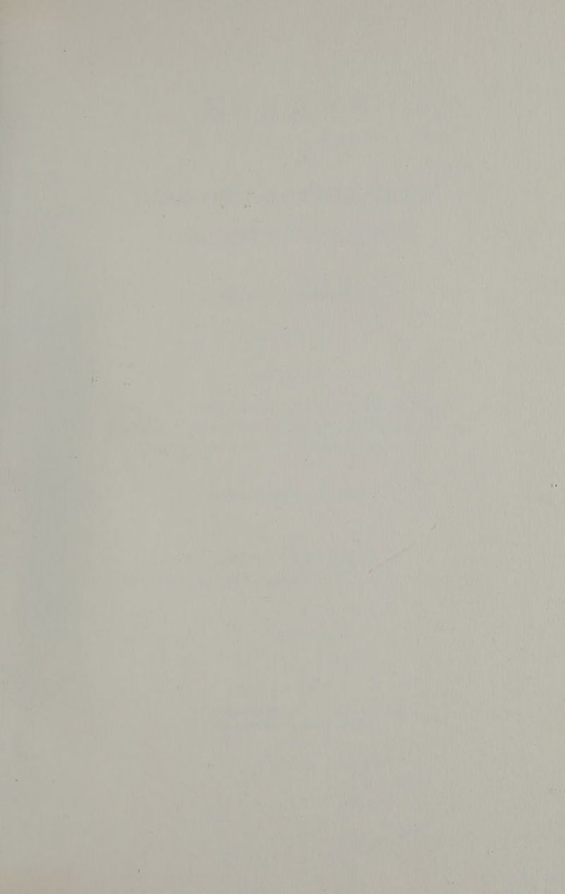 es, oh iri ire eg ake at Wh wae Nell Fite ) © ; Vi } iat ad i) i ea) { wan be a) ie iy aaand PAV } 7) aa: f ‘¢ ‘ 7 ’ Daas iy , } , a) / 4 : if ' 4 ir } 4 { Pantie | iat VW AY Ay, aks hY iis uN , a i. ot } i* ' ' i { gies ” ws {v : oe i A } Wy 4 hit pei Mr sk 3 A ae ato ” ; Be ls TG ; . ie totaal ‘i 1Y at oe ee « vee vice a Oa, ‘Ms {