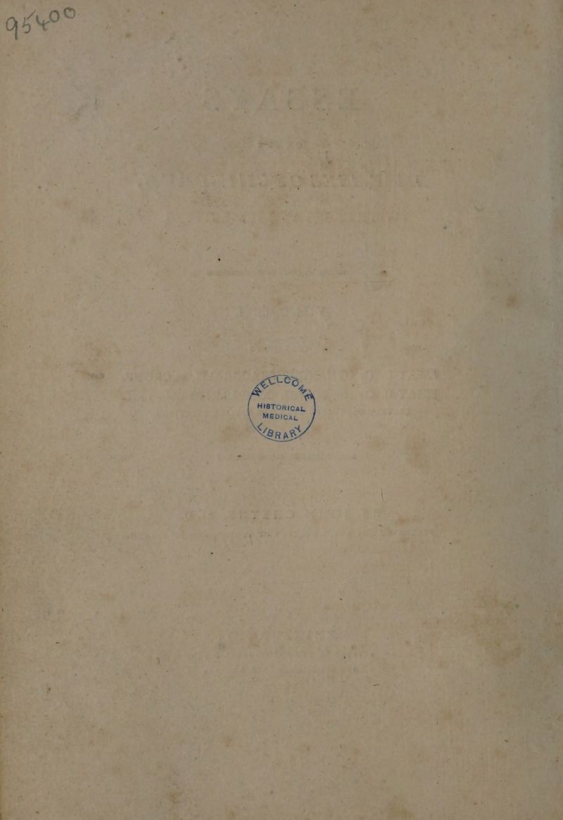 4 . i Ly +l : See ae “,