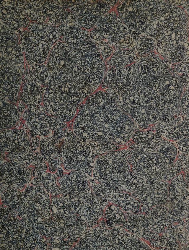 digitised image 3
