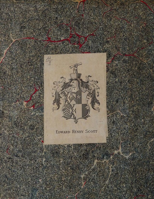 No text description is available for this image