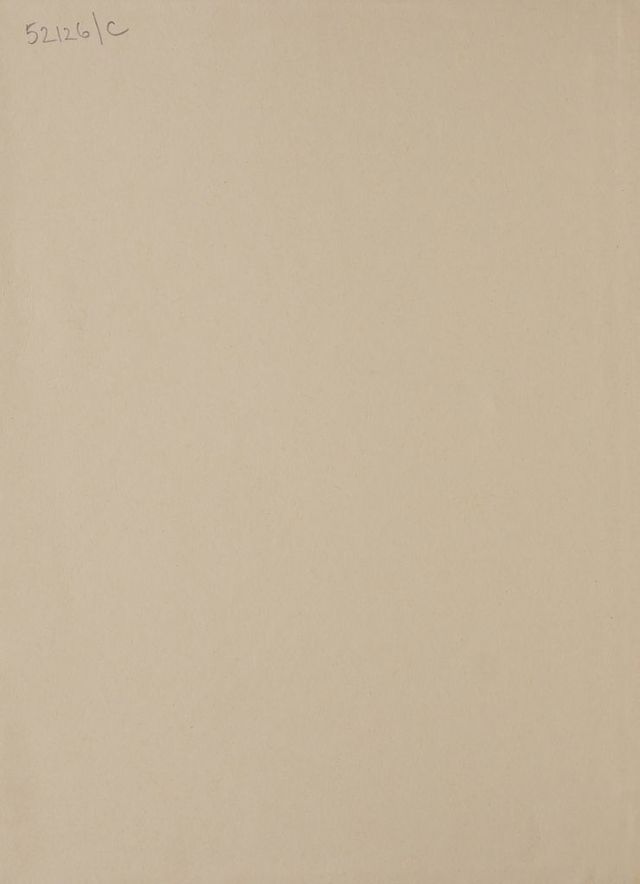 digitised image 2