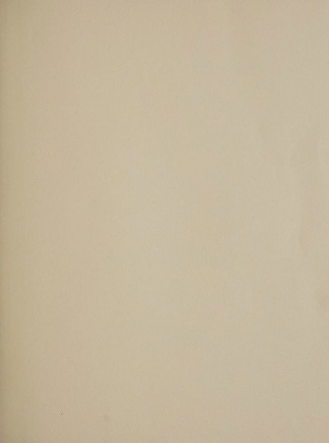 digitised image 3