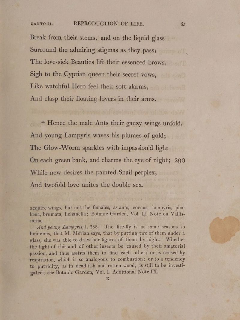 Break from their stems, and on the liquid glass Surround the admiring stigmas as they pass; The love-sick Beauties lift their essenced brows, Sigh to the Cyprian queen their secret vows, Like watchful Hero feel their soft alarms, And clasp their floating lovers in their arms. ‘*¢ Hence the male Ants their gauzy wings unfold, And young Lampyris waves his plumes of gold; The Glow-Worm sparkles with impassion’d light On each green bank, and charms the eye of night; 290 While new desires the painted Snail perplex, And twofold love unites the double sex. acquire wings, but not the females, as ants, coccus, lampyris, pha- lena, brumata, lichanella; Botanic Garden, Vol. II. Note on Vallis- neria, And young Lampyris, |. 288. ‘The fire-fly is at some seasons so luminous, that M. Merian says, that by putting two of them under a glass, she was able to draw her figures of them by night. Whether the light of this and of other insects be caused by their amatorial passion, and thus assists them to find each other; or is caused by respiration, which is so analogous to combustion; or to a tendency to putridity, as in dead fish and rotten wood, is still to be investi- gated; see Botanic Garden, Vol. I. Additional Note IX. K
