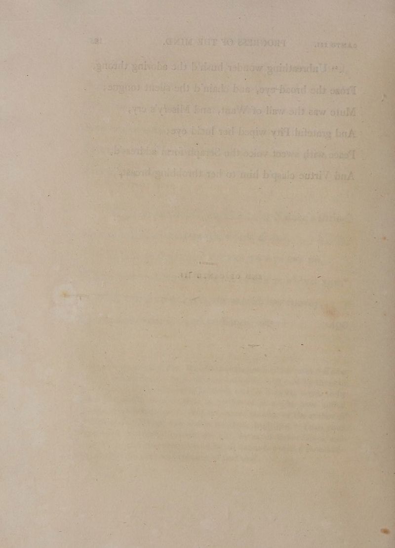 ys prt , \ : [ te % af ty 2 he Ne ; ‘