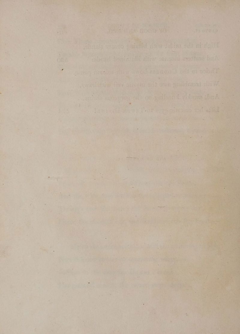 ore Vier Ca e eau oy Mies. od} int ny ne en ak ere ize fen ae . ah Ht 26 sper ‘athe Po Bet oF 99