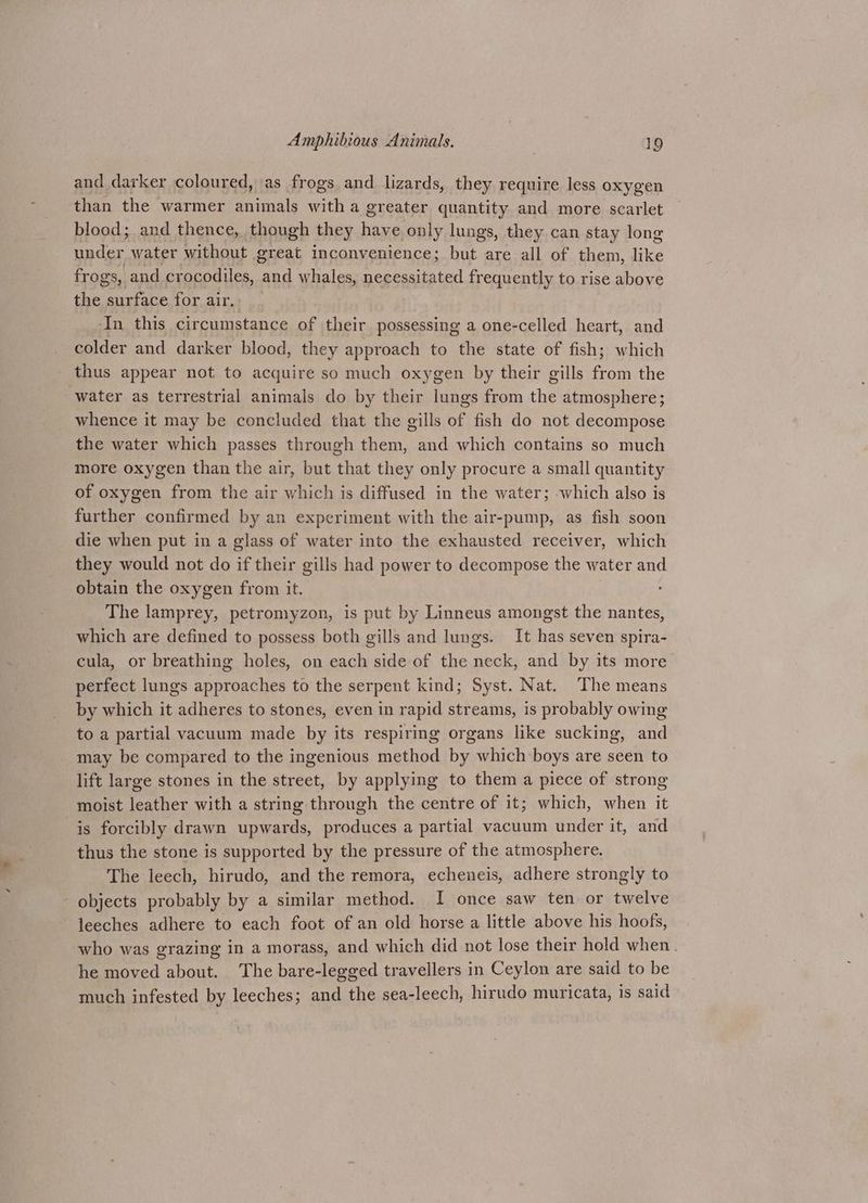 and darker coloured, as frogs and lizards, they require less oxygen than the warmer animals witha greater quantity and more scarlet blood; and thence, though they have only lungs, they can stay long under water without great inconvenience; but are all of them, like frogs, and crocodiles, and whales, necessitated frequently to rise above the surface for air. In this circumstance of their possessing a one-celled heart, and colder and darker blood, they approach to the state of fish; which thus appear not to acquire so much oxygen by their gills from the water as terrestrial animals do by their lungs from the atmosphere; whence it may be concluded that the gills of fish do not decompose the water which passes through them, and which contains so much more oxygen than the air, but that they only procure a small quantity of oxygen from the air which is diffused in the water; which also is further confirmed by an experiment with the air-pump, as fish soon die when put in a glass of water into the exhausted receiver, which they would not do if their gills had power to decompose the water and obtain the oxygen from it. The lamprey, petromyzon, is put by Linneus amongst the nantes, which are defined to possess both gills and lungs. It has seven spira- cula, or breathing holes, on each side of the neck, and by its more perfect lungs approaches to the serpent kind; Syst. Nat. The means by which it adheres to stones, even in rapid streams, is probably owing to a partial vacuum made by its respiring organs like sucking, and may be compared to the ingenious method by which boys are seen to lift large stones in the street, by applying to them a piece of strong moist leather with a string through the centre of it; which, when it is forcibly drawn upwards, produces a partial vacuum under it, and thus the stone is supported by the pressure of the atmosphere. The leech, hirudo, and the remora, echeneis, adhere strongly to objects probably by a similar method. I once saw ten or twelve leeches adhere to each foot of an old horse a little above his hoofs, who was grazing in a morass, and which did not lose their hold when. he moved about. The bare-legged travellers in Ceylon are said to be much infested by leeches; and the sea-leech, hirudo muricata, is said