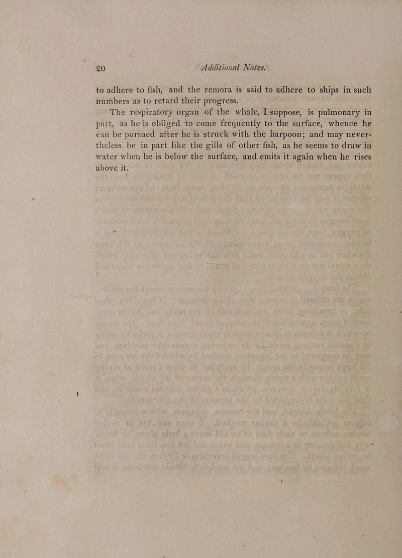 to adhere to fish, and the remora is said to adhere to ships in such numbers as to retard their progress. . The respiratory organ of the whale, I suppose, is pulmonary in part, as he is obliged to come frequently to the surface, whence he can be pursued after he is struck with the harpoon; and may never- theless be in part like the gills of other fish, as he seems to draw in water when he is below the surface, and emits it again when he rises above it.