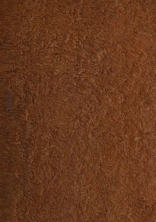 digitised image 1