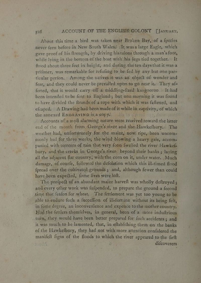 Abie this time a bird was taken near Broken Bay,: of a fpecies never feen before in New South Wales:! Tt wasa large Eagle, which gave proof of his ftrength, by driving his talons through a man’s foot, while lying in the bottom of the boat with’ his legs tied together. It ftood about three feet in height, and during. theten days that it was a prifoner, was remarkable for refufing to be:fed by any but one par- ticular perfon. Among the natives it was:an objet of wonder and fear, and they could never be prevailed upon:to go near it. They af- ferted, that it would carry off a; middling-fized’ kangooroo. » It had been intended to be fent- to England:; but one: morning it was found to have divided the firands of a rope with which it'was faftened, and efcaped. A Drawing: had béen made of it while i in. cenrity: of which the annexed ENGRAVINGiis,acopys, Jin > J: Accounts of a: molt. alarming nature: were, peace s okeih the latter end of the month from, Georg 76's river and the; Hawkefbury. The weather had, unfortunately: for - the: maize, now. ripe, been uncom- monly bad for,three weeks; the: wind: blowing. a heavy gale, accom- panied with torrents of rain that very, foon: {welled the river Hawkef- bury, ‘andthe creeks ‘in. George’s. fiver: beyond their banks ; laying all the adjacent flat: ‘country, with’ the corn on it, under balan Much damage, of courfe, : followed the. defolation which this ill-timed flood {fpread over the cultivated, grounds 5. ; and, although fewer than could have-been expeGed, fome lives were loft. The profpeét of an abundant maize harveft was wholly deftroyed ; and every other work was fufpended, to prepare the ground a fecond time that feafon for wheat. The fettlement was yet too young to be able to.endure fuch a. fucceffion of ill-fortune without its being felt, in fome degree, an inconvenience and expence tothe mother country. Bad the fettlers themfelves, in general, been of a more induftrious _ turn, they would have been better prepared for! fuch accidents; and it was much to be lamented, that, in eftablithing them on the batikes of the Hawkefbury, they had not with more. attention confidered the manifelt figns of the floods to which the river appeared to the firft difcoverers | /