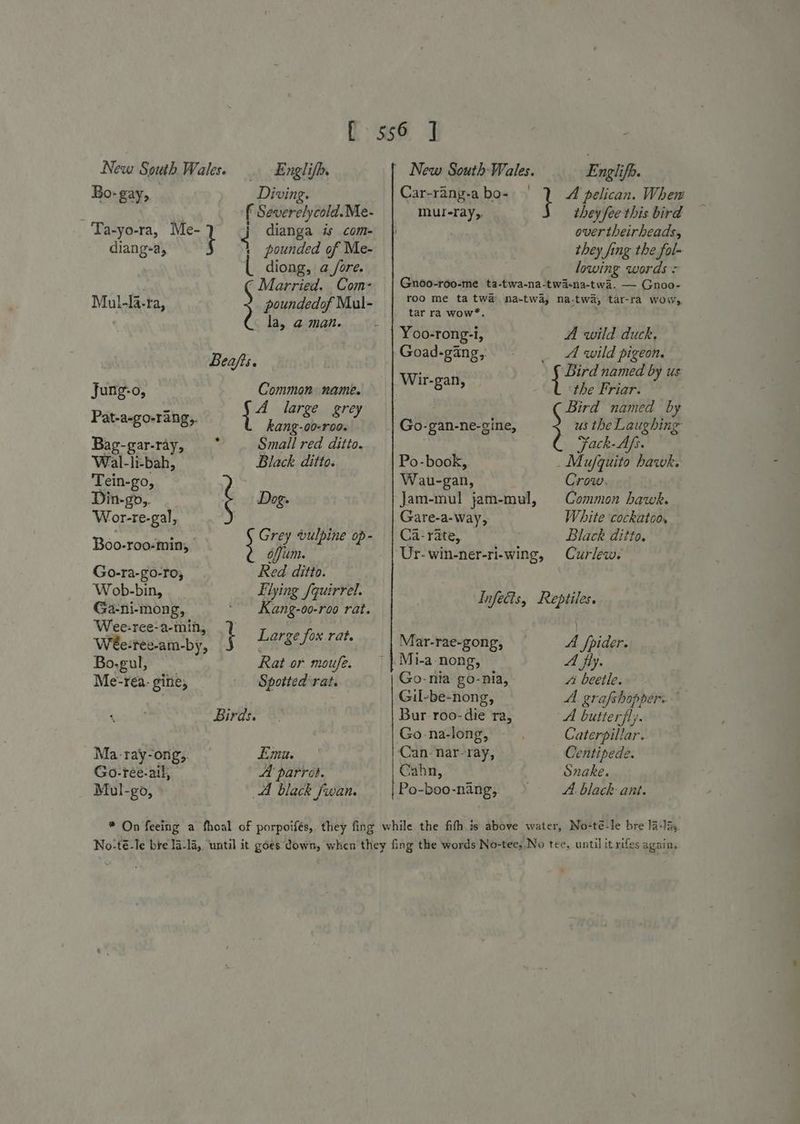 diang-a, Mul-li-ta, Jung-o, Pat-a-go-rang,. Bag-gar-ray, Wal-li-bah, Tein-go, Din-go,. Wor-re-gal, Boo-roo-min, Go-ra-g0-To, Wob-bin, Ga-ni-mong, Wee:-ree-a-min, e-ree-am-by, Bo-gul, Me-réa- gine, Ma.-ray-ong,, Go-rée-ail; Mul-go, Englifb. . , i dianga is com- pounded of Me- diong, a /ore. Married. Com- poundedof Mul- la, @ man. Common: name. A large grey kang-00-r00. Small red ditto. Black ditto. Dog. Grey vulpine op- offim. Red ditto. Flying fquirrel. Kang-o0-roo rat. Rat or moufe. Spotted rat. Emu. A parrét. A black fwan. New South Wales. Englifh. Car-rang-a bo- | 1 A pelican. Whem murray,. they fee this bird overtheirheads, they fing the fol~ lowing words : Gnoo-roo-me_ ta-twa-na-twi-na-twa. — Gnoo- roo me ta twa ma-twa, na-twa, tar-ra woir, tar ra wow*. : Yoo-rong-i, A wild duck, Goad-gang, _ A wild pigeon. . Bird named by us Se rceee | the Friar. Bird named by us the Laughing Fack-Afs. _ Mufquito hawk. Crow. Common hawk. White cockatoo. Black ditto. Curlew. Go-gan-ne-gine, } Po-book, Wau-gan, Jam-mul jam-mul, Gare-a-way, Ca- rate, Infects, Reptiles. Mar-rae-gong, A fpider. |. Mi-a-nong, A fly. Go-nia go-nia, 4 beetle. Gil-be-nong, A grafshoppers Bur roo- die ra, A butter}ly. Go -na-long, Caterpillar. Can. nar-ray, Centipede. Cahn, Snake. Po-boo-nang, A. black ant.