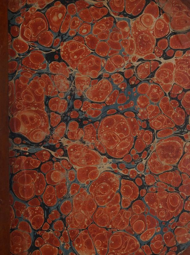 digitised image 1