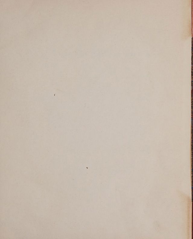 digitised image 3