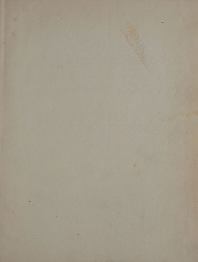 digitised image 3