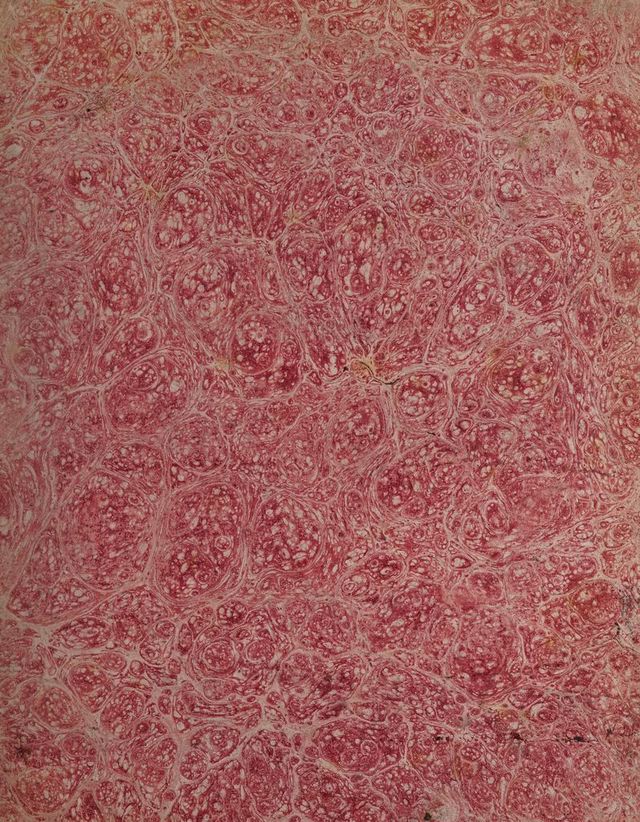 digitised image 3