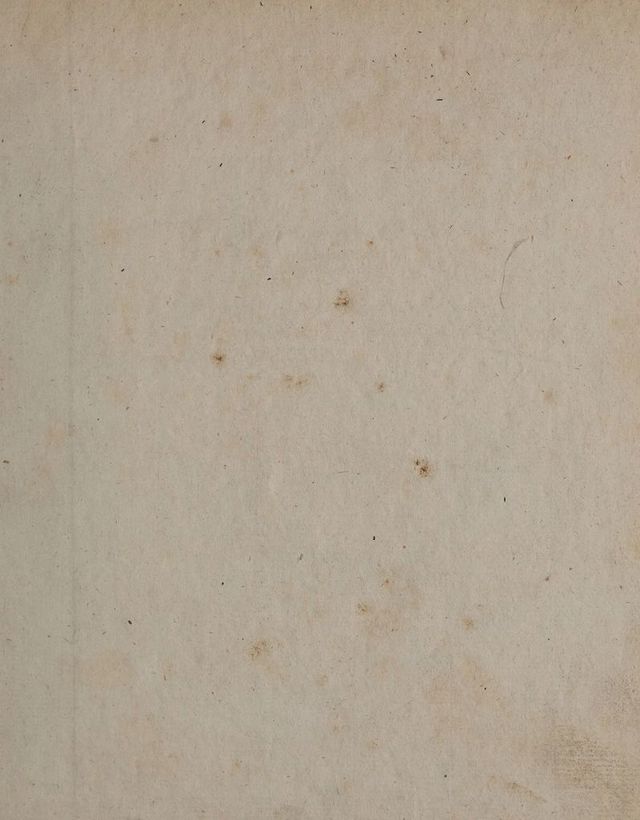 digitised image 3