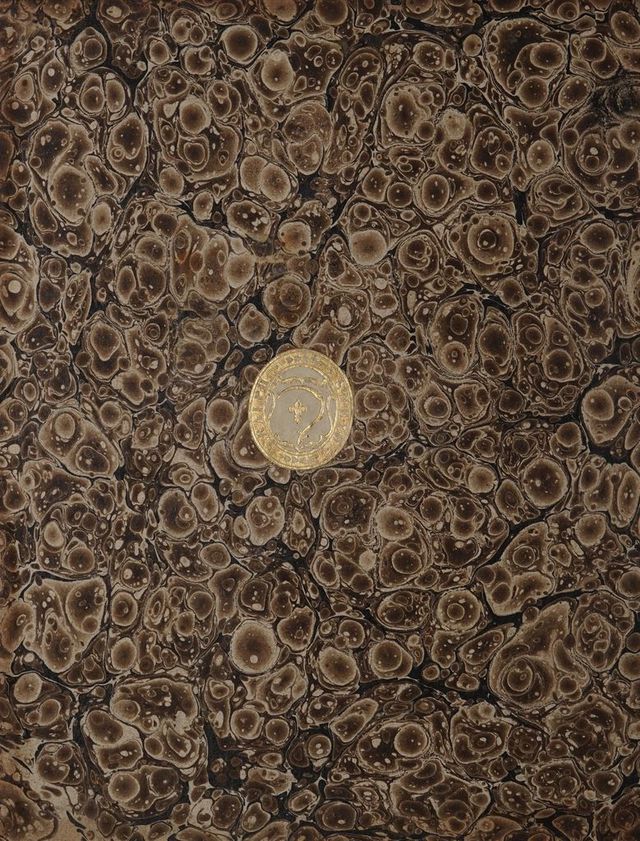 digitised image 2