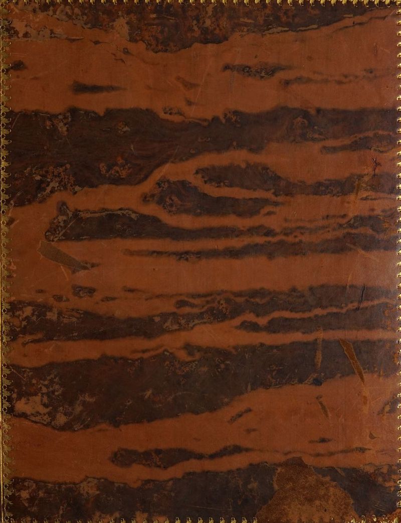 ‘ > 5 # fm Sian ete