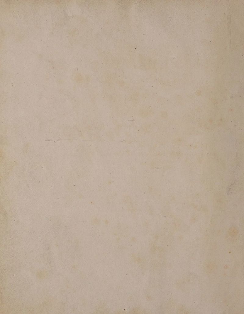 “i 2 4 a ae bgt era ni Vitel fk JY