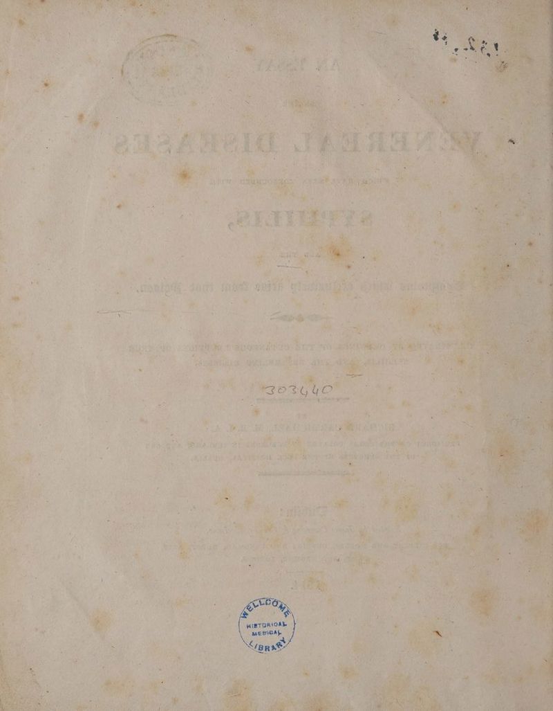 sak Av Ha) my RS ‘ “Er t¥2 Ns Chie t