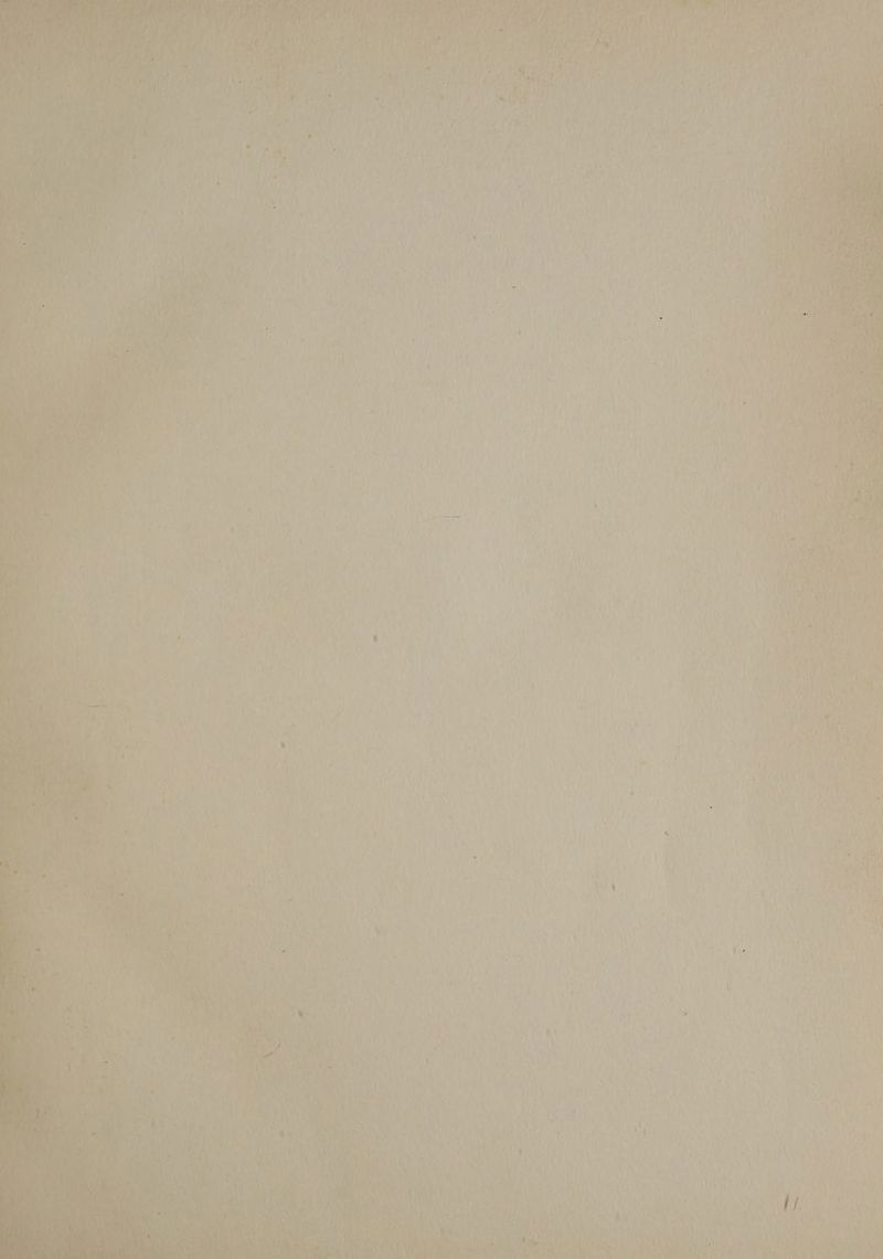 4 ak | Z i Tia a une ya iy ies e ‘ v0