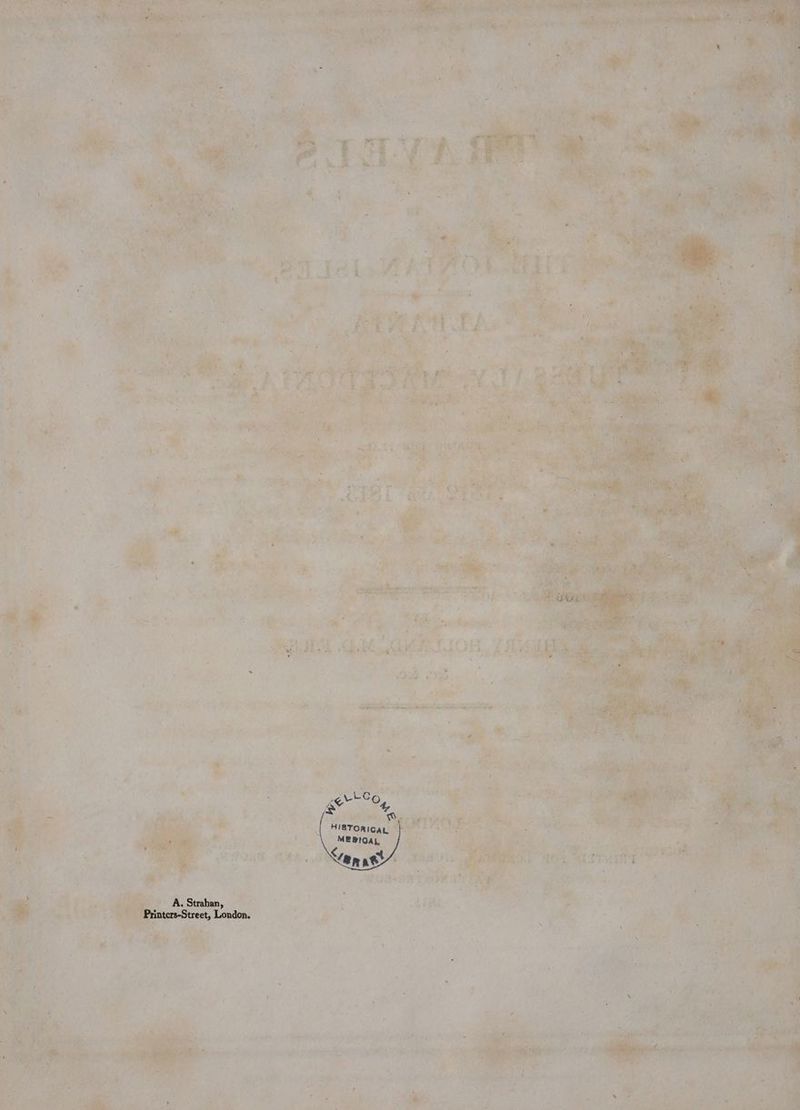 : eS Cd) ? i Lane b ae Py say i ee sam “