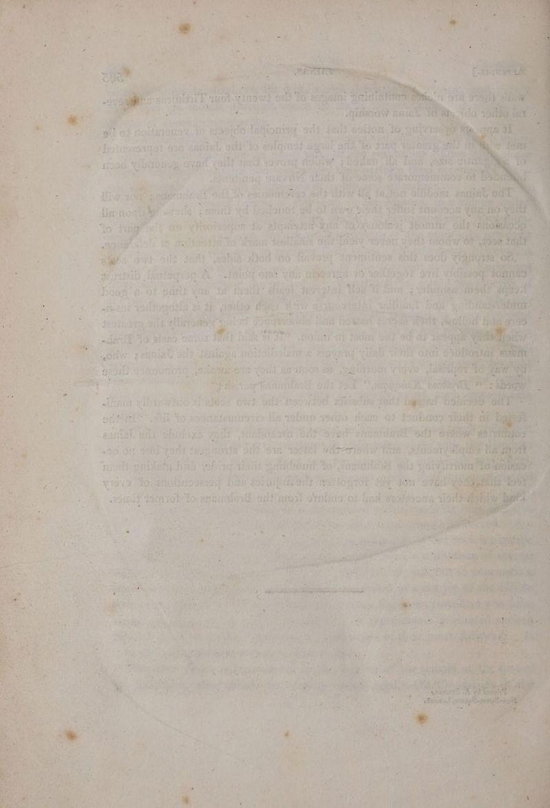 ve os : Le d ‘ : ra ay, en  > ï { . : in Î 4 FAT | ; ; mod k ; / , a me take Z . 7 Po , r D + ht $i mt 4 £ Me By ied ws  : Hs Ÿ G de, a) BCE j . 2 ‘COR ADRIAN h k q à id HET ‘ie ain Hit Wwe Ls te AMATIPARS 1 | lei Hola. io dssido. Lu ci “Shotiaes saat ‘one a Wide oh ae LUN oad Caen 2, SBE ia a dE : aed i yd eer ie re Haale: agi ig que LR pen = fin vant i “aren 90 ee peuatel Ve Ipio A Jai0q am Yetta He VIDE 10 per BY Pee aa oog'e of ami} Yoo 48 tsi dual Fe ight. the MY Sug | os : | AG ARE SF ae ‘vod motte a 4 gio fe ane e380 fai “gillian i ; ; be | leat 388 TD gitt ibn 30 hy} coord Las dent oer) Bee Lo nae 1 mans Save SOAS Dine Tru) HOT ah “Joie sd} ‘ad ay Sag en ae ane + ent nia pis: démos He sia lane ry aaa org. dia abel ¢ AE. S a d'au PEU da : Ce Foun mA , a G8 ee Ao en oT se | zi eee ofl hu fogs #; ' 30, à ser opel (ot pe a rt PRE age! i Mel | 2 SE MN po atta os edit to itt PE Jai \ 25064) 1 sin sdb do ete abi ail ‘apt ee où boa erofisons 4 per pes 1, ‘ + ñ ms, if ; .