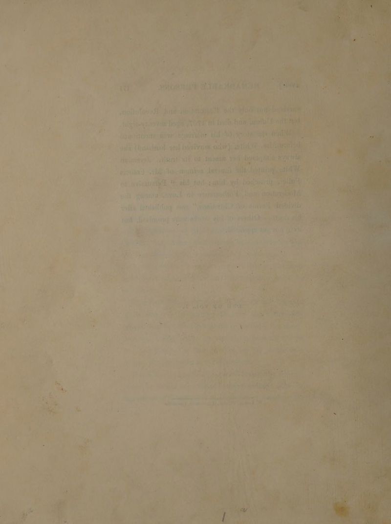 ft will i si a + styibeet sole bagme rNeA hid Wathen Bi! Ve ny ‘aside wi Ns ech ole OR cant vb youl poviirys, Sn ts ieicna'e sl elt wt Ga snoedh, Vike eicvniay') - Ries tee ateatin a devvinsh ath ovina: ety pil, 30 He & ai yd inte y Pd: ' : sg thik) fei Bieta vi ge. he io t ut , H } amide t.” a1, t U 3 ; = : - Ls : ba o/ ' he ’ > Ae §:3 5 a + rT wat 2 ' Oe ew #3 , iA 2, P ' ’ : ie ink t * yy , ~ ah w a oe : me we ol OW ao So a St as
