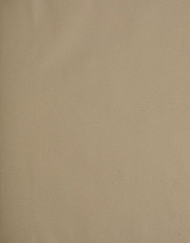 digitised image 3