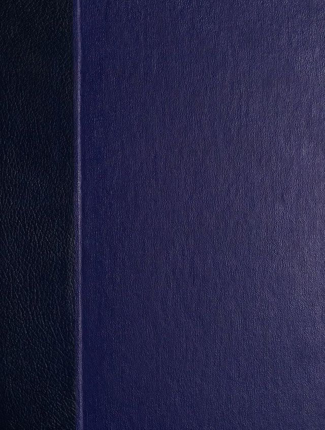 digitised image 1